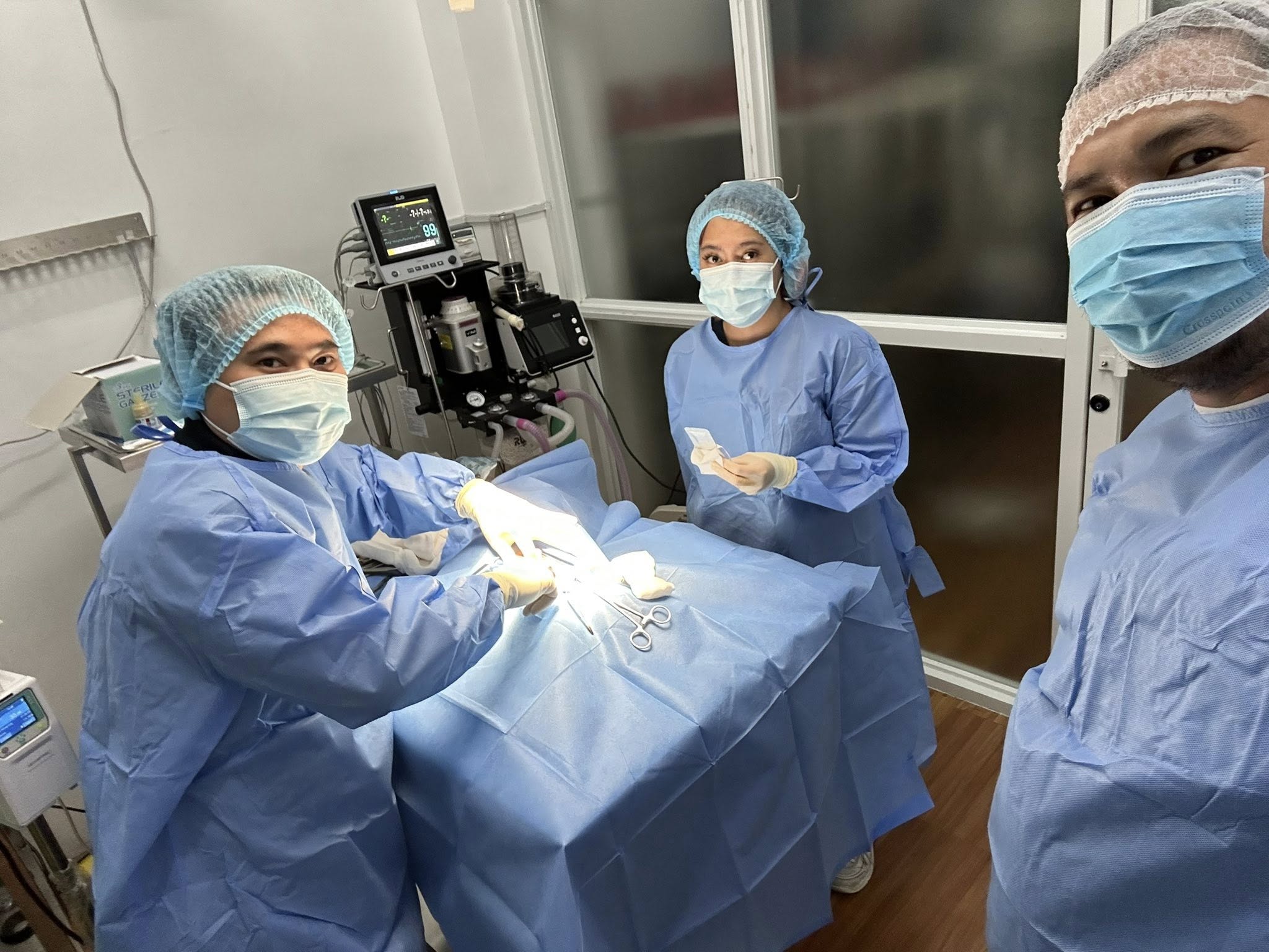 Veterinarian at work